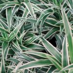 resized_33_api